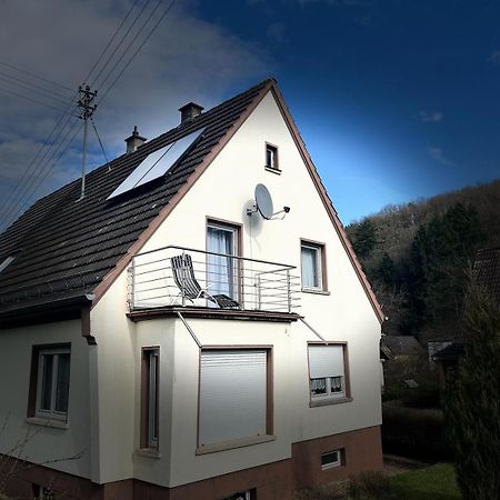 Fewo Gluecksmoment Idar-Oberstein Buitenkant foto