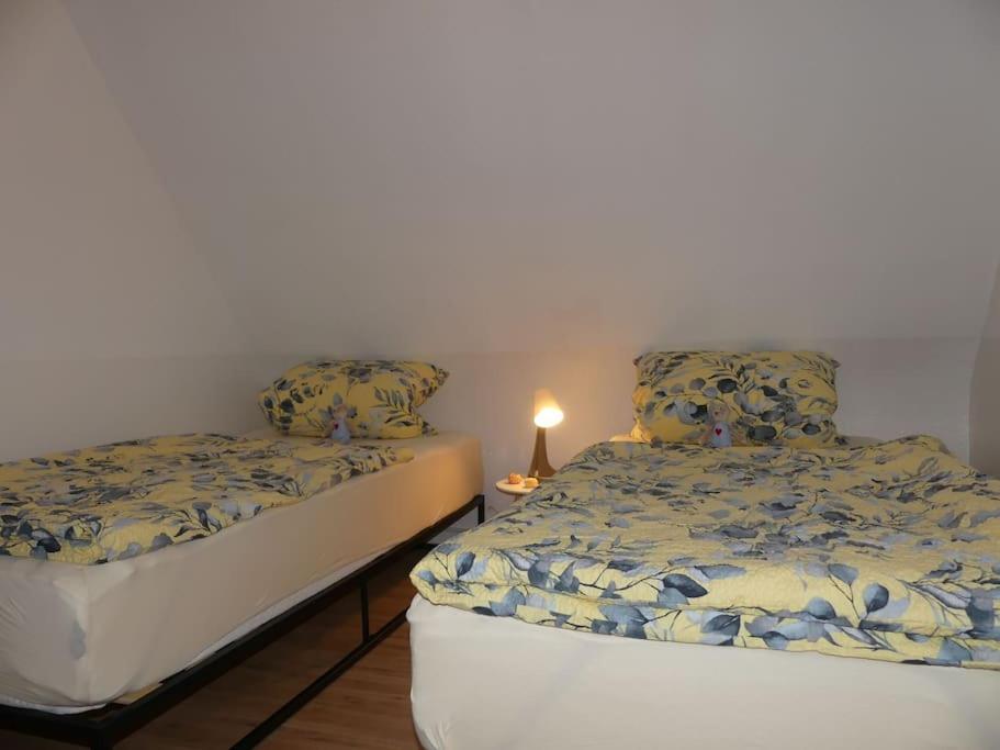 Fewo Gluecksmoment Idar-Oberstein Buitenkant foto